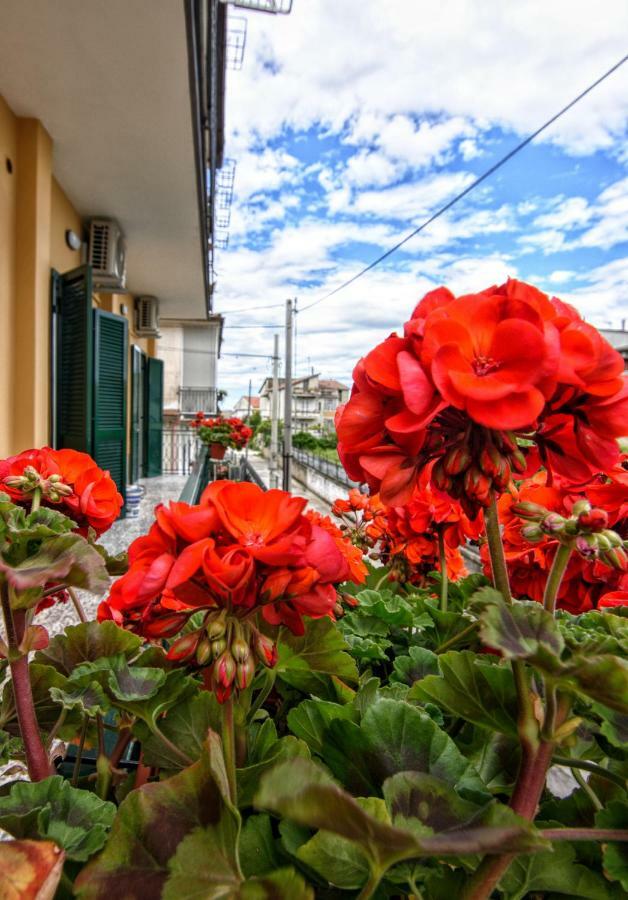 B&B Grazia Kapua Zewnętrze zdjęcie